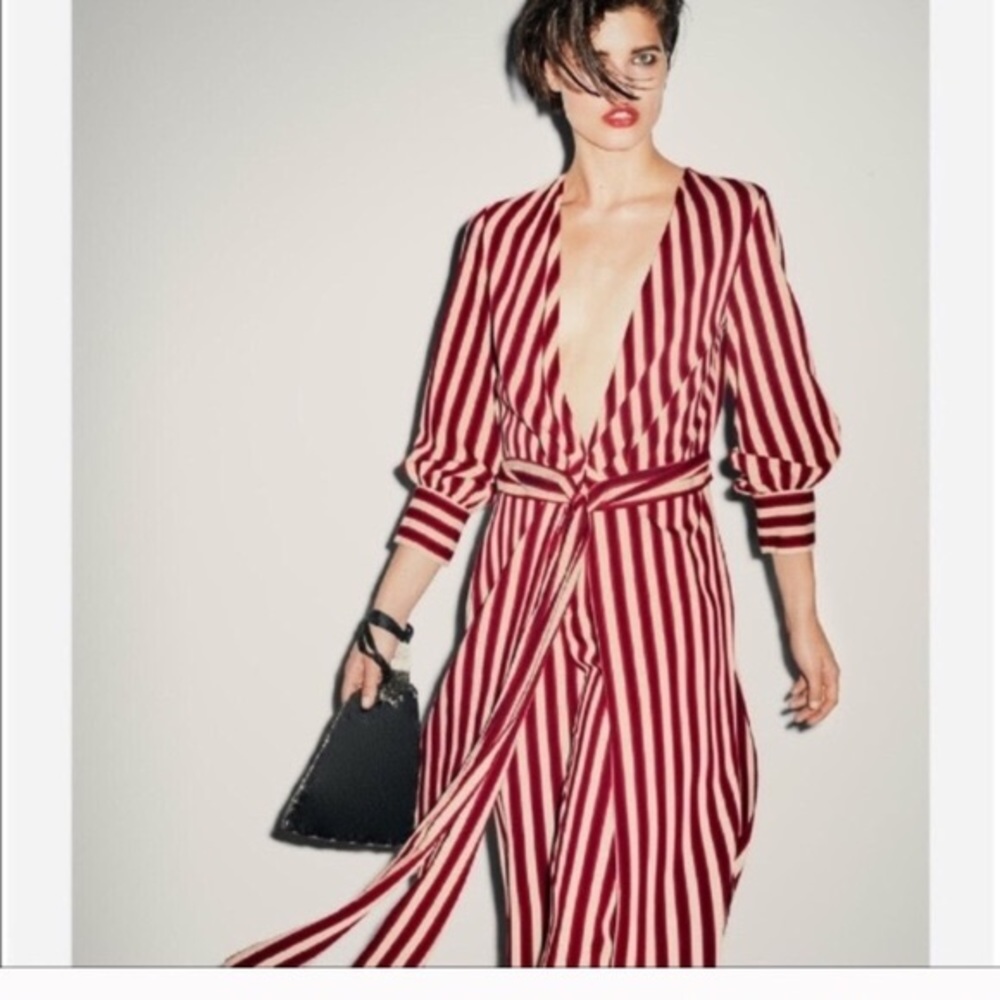 Zara Maroon striped pants xs